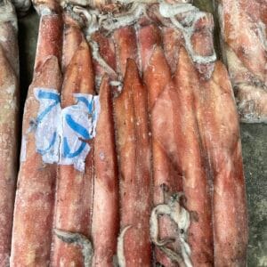 MỰC ỐNG SỐ 2