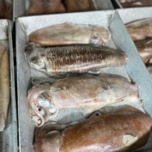 MỰC LÁ 500GR ĐẾN 700GR