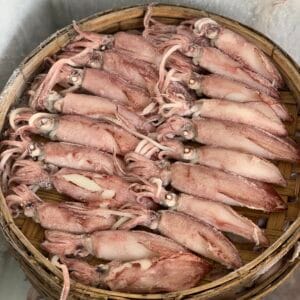 MỰC CƠM HẤP 25 CON/KG