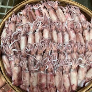 MỰC CƠM HẤP SIZE M20