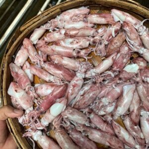 MỰC CƠM HẤP SIZE C16
