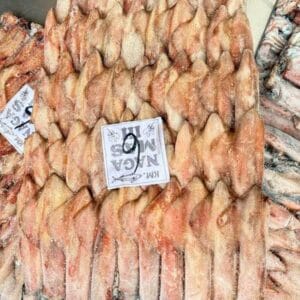 MỰC ỐNG SỐ 6